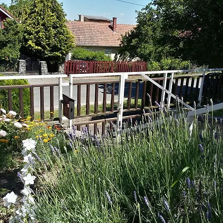 Rethati Vendeghaz Maison d'hôtes *