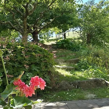 Rethati Vendeghaz Maison d'hôtes *