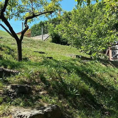 Rethati Vendeghaz Maison d'hôtes *